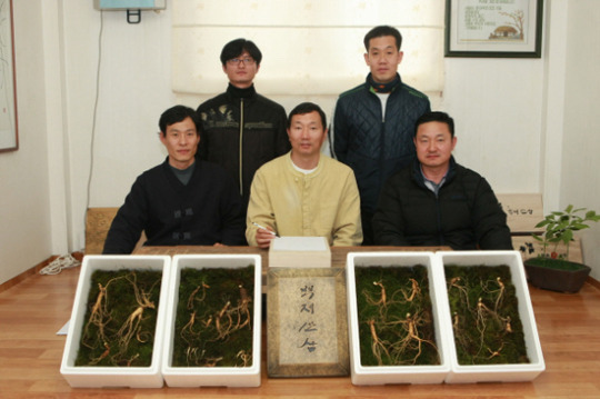 토종 고려인삼을 복원하는 마지막 전통심마니