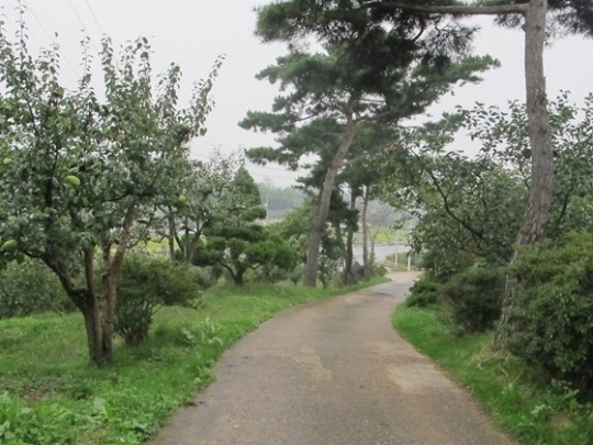 순천 미림관광농원·보성 대한다원·곡성 삼화관광농원 전국 으뜸