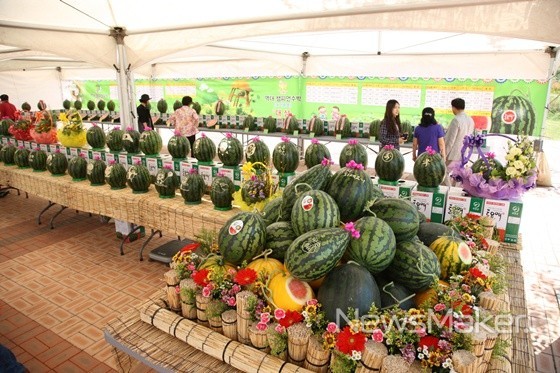 의령군, 제15회 의령토요애수박축제 오는 9일 개최