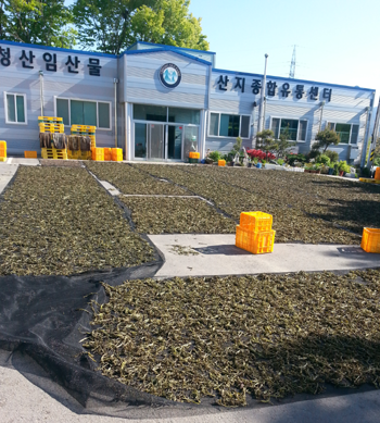 산림소득증대와 임업발전 선도하다