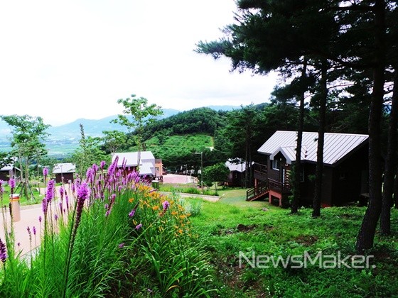 구례군, 지리산 숲속수목가옥 산수유자연휴양림 히트다! 히트