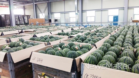 aT, 이달 제철농수산물로 수박 선정