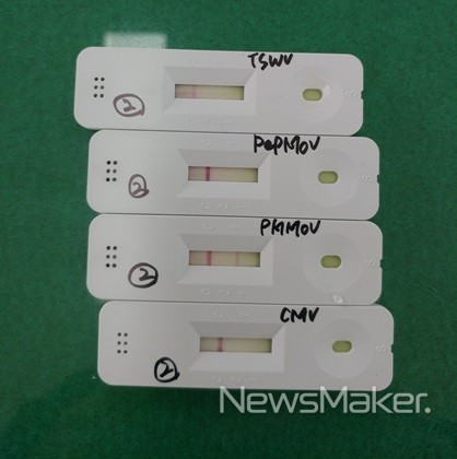 부안군, 원예작물 바이러스 진단서비스 제공