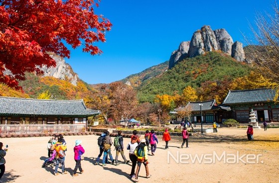 산소카페 청송군 문화와 체육이 어우러진 군민이 행복한 청송 건설