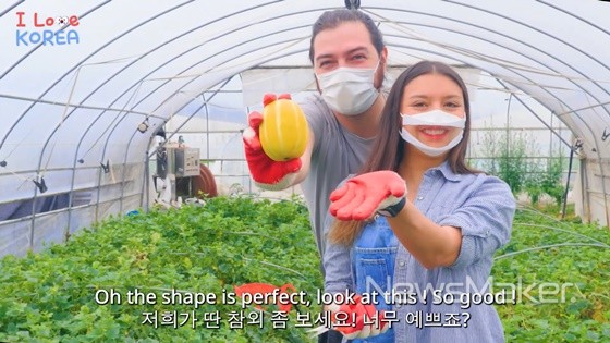 성주여행 랜선 홍보로 국내외 관광객 유치
