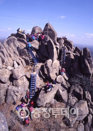 서산 팔봉산 봄산행 절정
