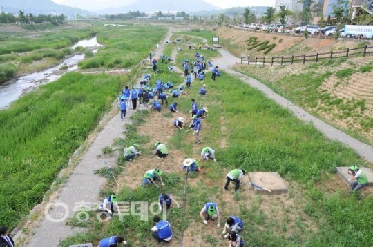 아산시 세계환경의 날 기념 온양천 정화