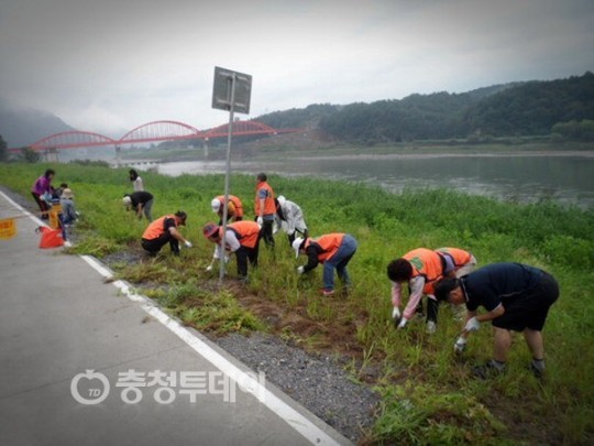 단양읍, 별곡지구 체육공원 정화활동