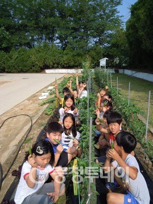 자연과 함께하는 힐링학교