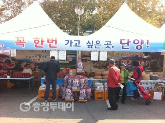 단양군 직거래장터 매출 5억원