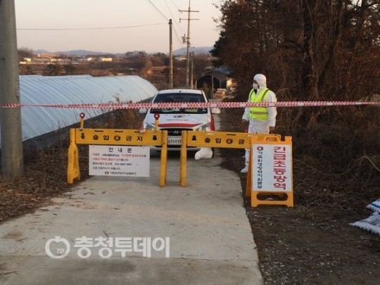 충북 결국 뚫리나 … AI 첫 의심신고
