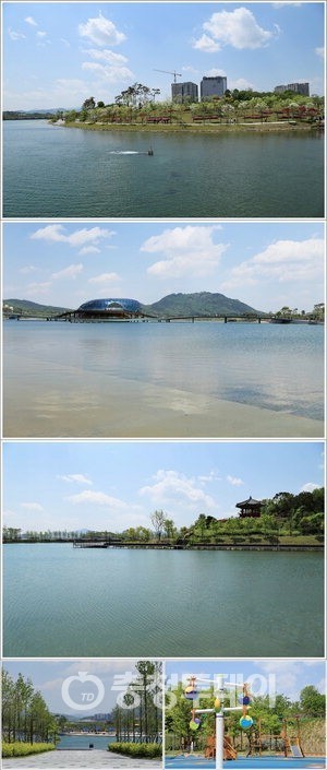 물… 꽃… 나무… 동물 그리고 따스한 하늘 세종서 추억남기기