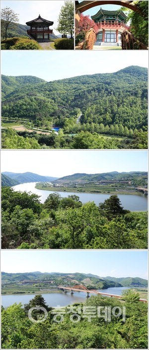 물… 꽃… 나무… 동물 그리고 따스한 하늘 세종서 추억남기기