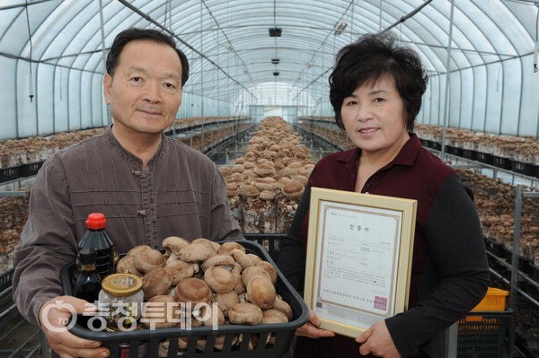버섯재배, 이제는 친환경으로 승부한다