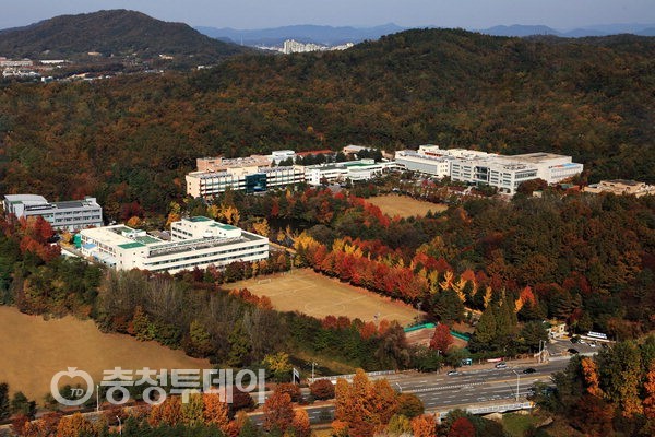 세계 으뜸 기술력 … 차세대 유연 광학소자 새시대 견인
