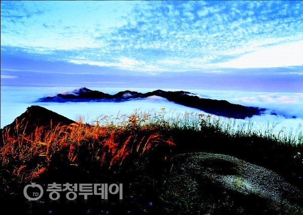 “들꽃 하늘정원에서 가을의 낭만을 느끼세요”