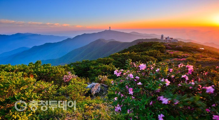 단양군수 작사·주현미 노래 ‘소백산’ 뜬다