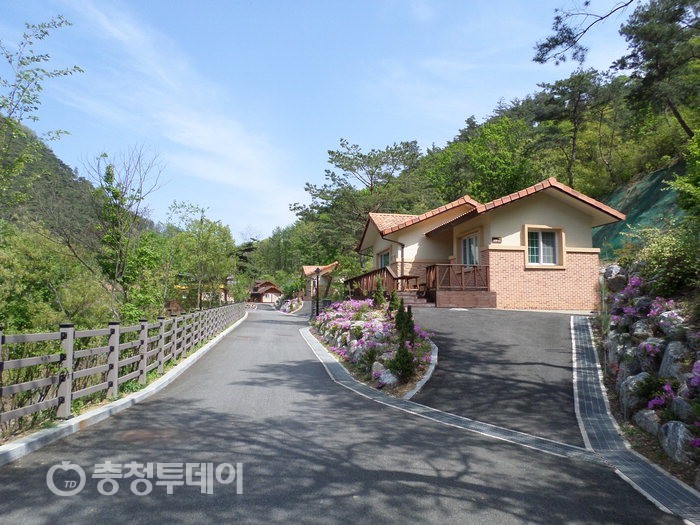 성불산산림휴양단지 궁금하시죠?