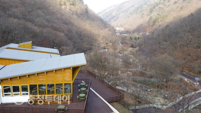 금산산림생태문화체험단지 공사 막바지