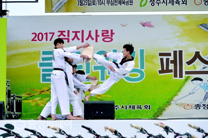 2017 직지사랑 클린워킹 페스티벌-이모저모