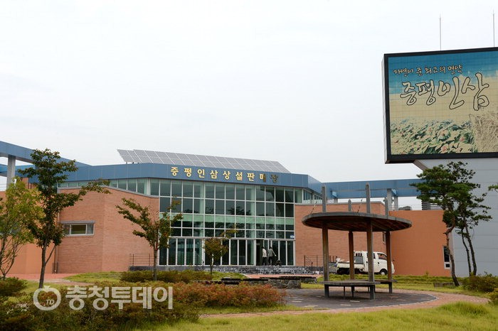 증평군 인삼·홍삼포크로 관광객 발길 잡는다