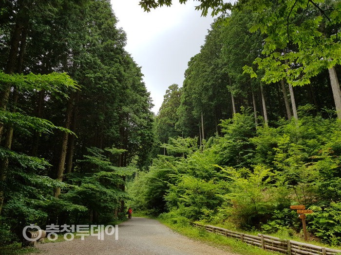 국립장성숲체원…‘백세시대’ 산림치유 체험 공간 최적지