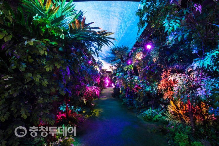 단양 수양개 빛터널 반년새 12만명 찾아