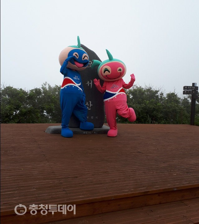보령 오서산 정상, 포토존 데크 설치