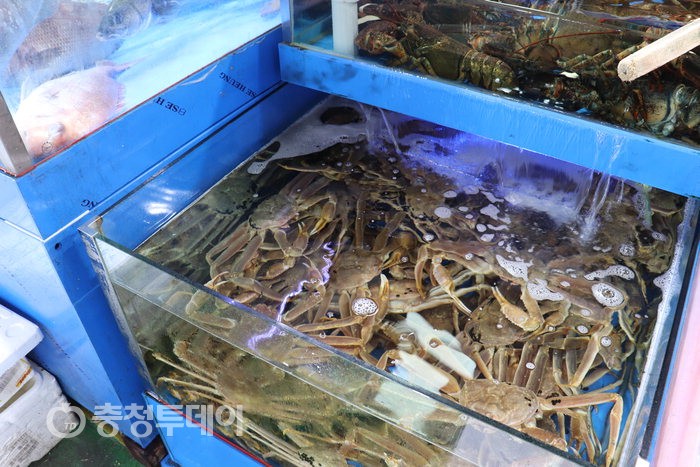 [추석특집] 대전시 수산물 도매법인 공식 지정된 대전노은진영수산 추석 장보기