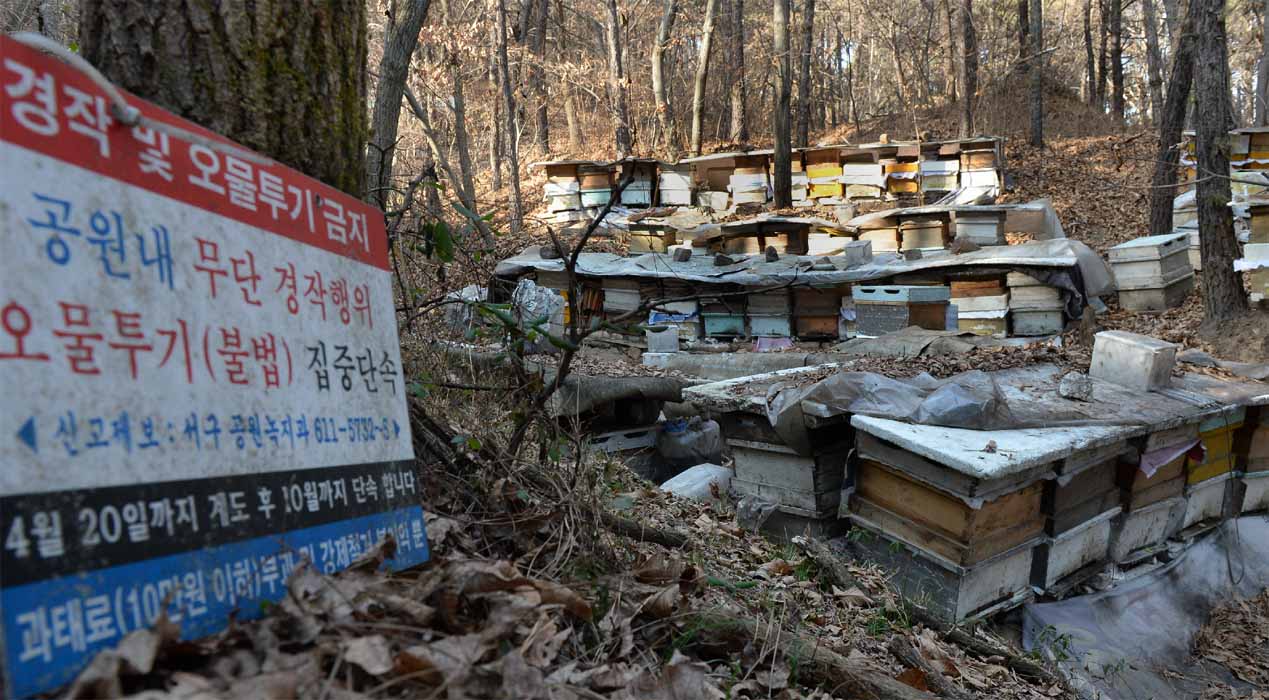 월평공원(갈마지구) 민간특례사업자, 대전시에 계획서 제출