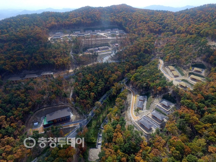 숲길 걸으며 힐링산책