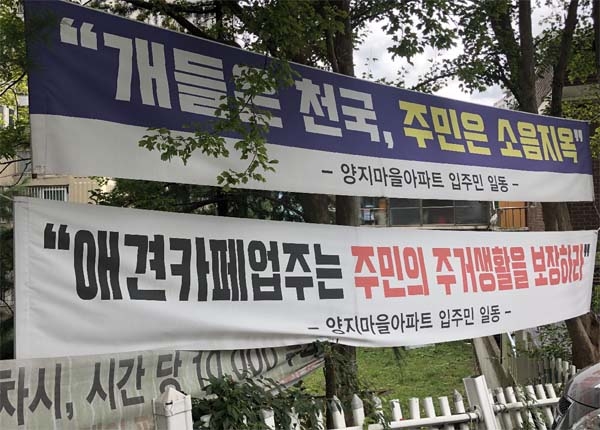 집 근처 애견카페, 주민과 카페 간 소음 분쟁… 행정당국은 강 건너 불구경