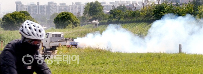 대전 갑천둔치 해충 박멸 방역소독