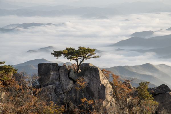 작은 설악산 옹골찬 바위산, 논산 대둔산