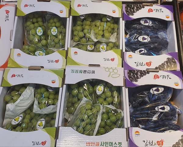 [2022 추석특집] 가성비 넘치는 과일… 대전중앙청과에 한 가득
