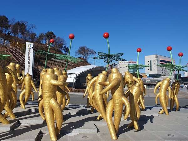 [같이가U] 인삼에 반하고 금산에 취하다, 매력발산 금산