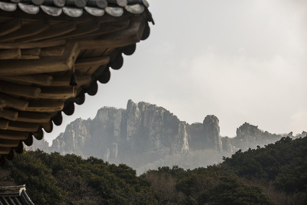 화석(化石)