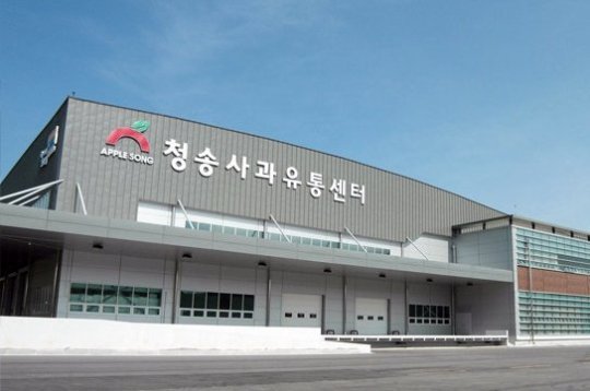 청송사과유통공사 배 보다 배꼽?