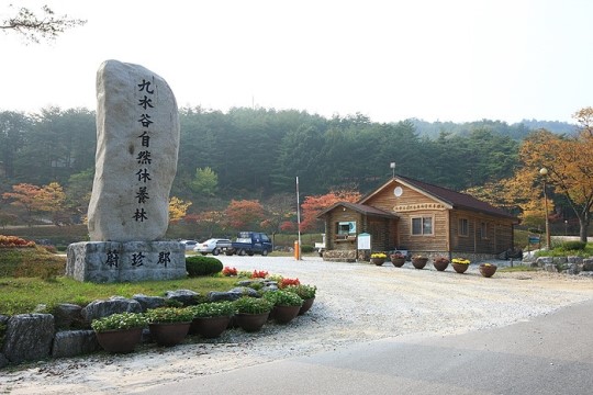 `울진 금강소나무숲길` 구수곡·통고산 자연 휴양림