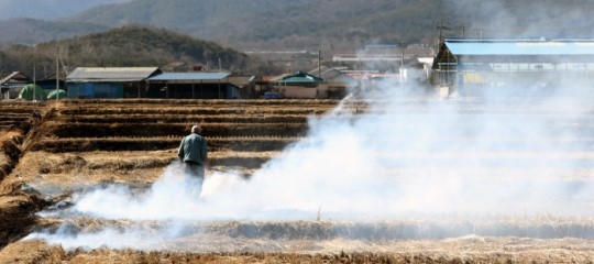 논두렁 태우면 큰일 납니다