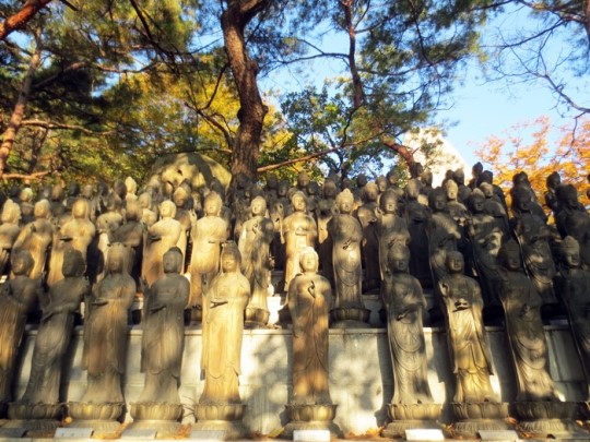 도봉산홀리데이파크