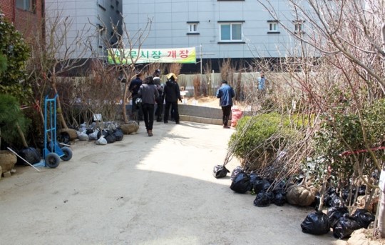 나를 닮은 나무 골라보세요