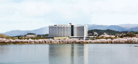 따뜻한 봄날 낭만을 만끽하세요
