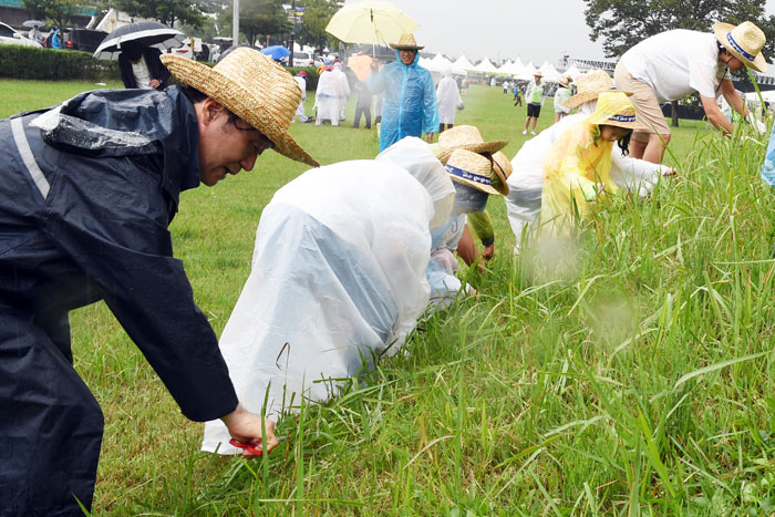 경주시 `제2회 신라 임금 이발하는 날` 행사