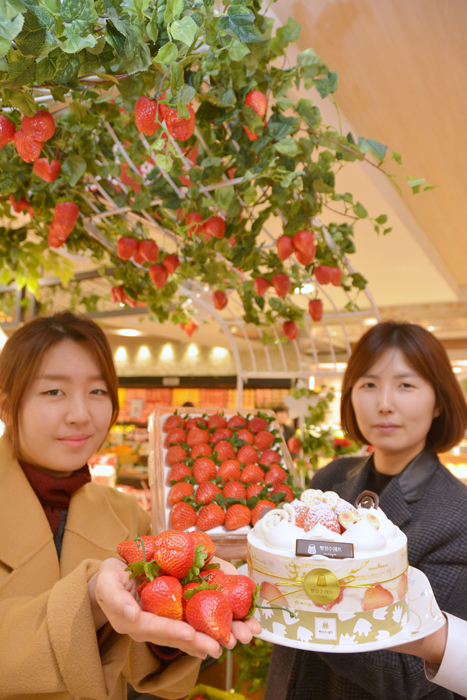 대백프라자 7일까지 `딸기 페스티벌`