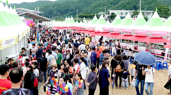 100세 청춘 문경 오미자 판매 수익 4억9천만원