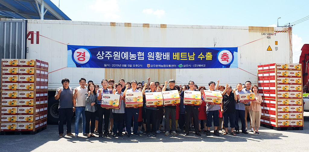 원황배 베트남 첫 수출길상주원예농협, 16t 상당