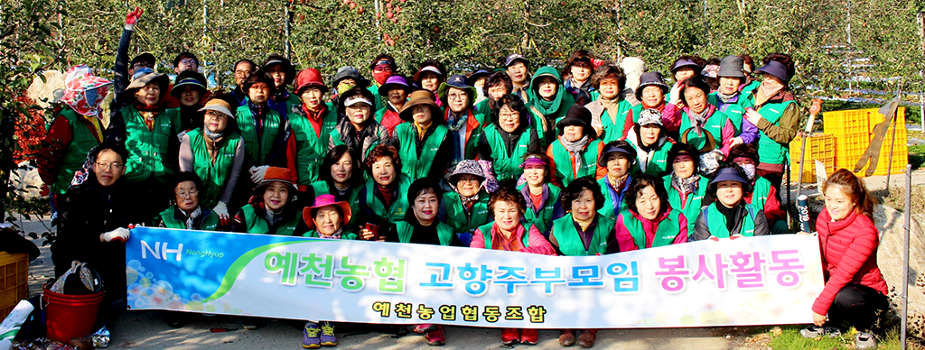 예천농업협동조합, 사과수확·선별작업 돕기