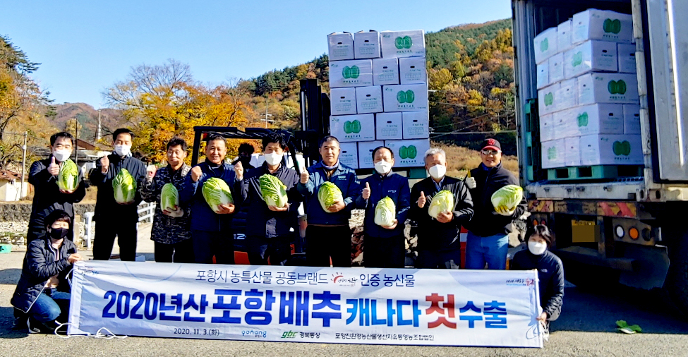 아삭아삭 죽장 가을배추 캐나다 첫 수출