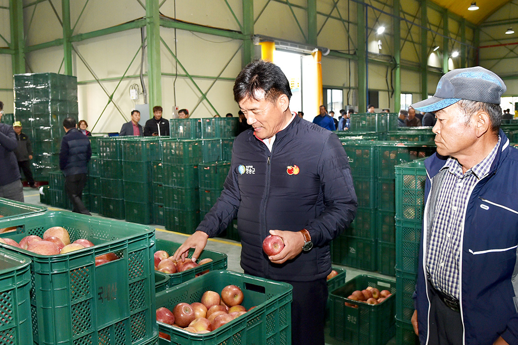 청송군 농산물산지공판장 개장… 올해산 사과경매 시작
